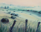 Country Morning Mist