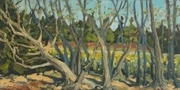 Finally Spring (plein air)