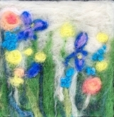 Garden Irises