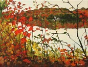 Autumn, Rock Lake (Algonquin Park) (sold)