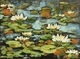 water lilies (sold)