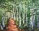 The Birch Grove (Killarney)